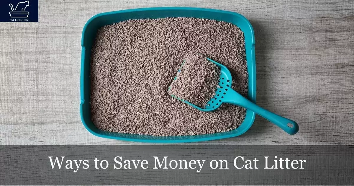 Ways to Save Money on Cat Litter