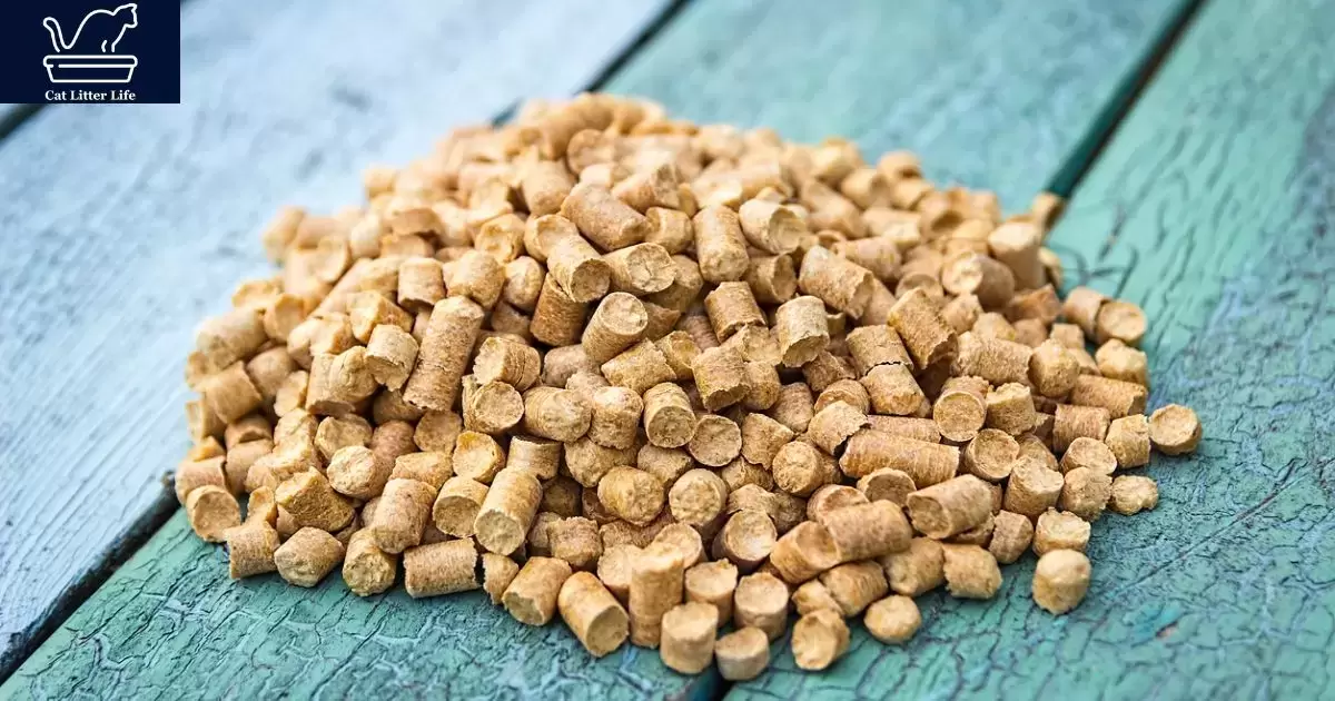 Benefits of Using Pine Pellets for Cat Litter