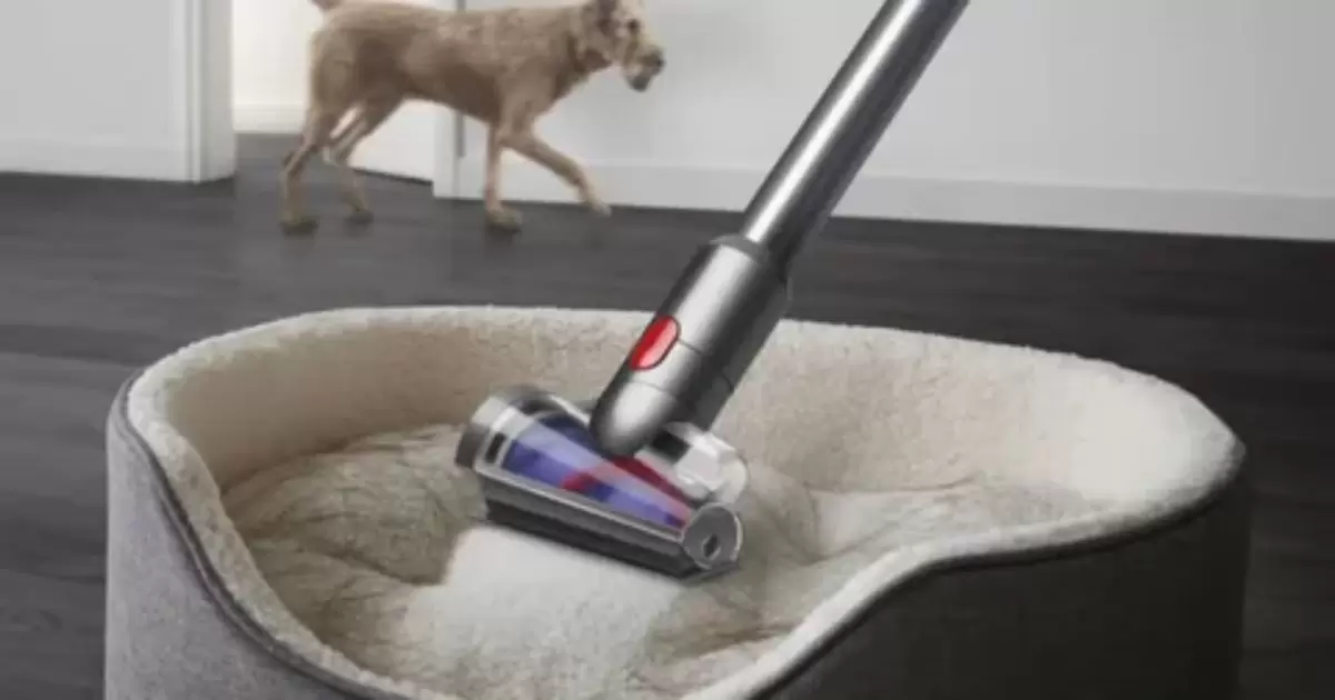 Can Any Vacuum Be Used on Cat Litter?