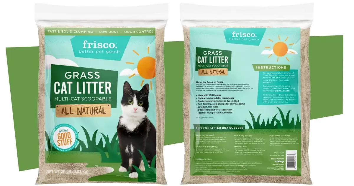 Grass Seed Compare to Traditional Cat Litters 