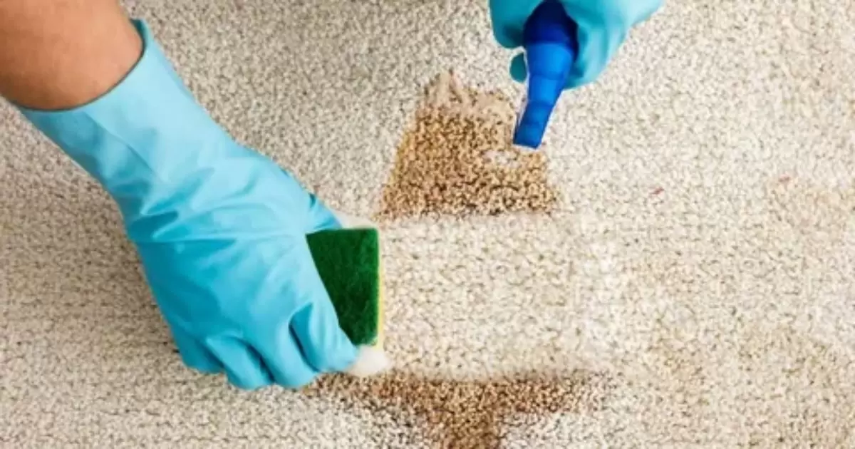 How To Get Cat Litter Out Of Carpet?