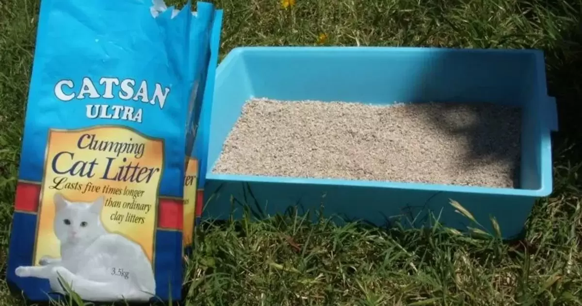 Viable Niche Grass Seed for Cat Litter