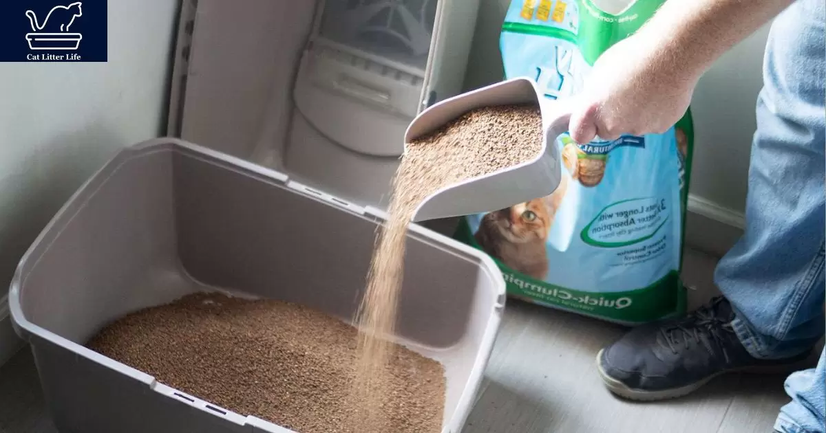 What Is Multi Cat Litter?