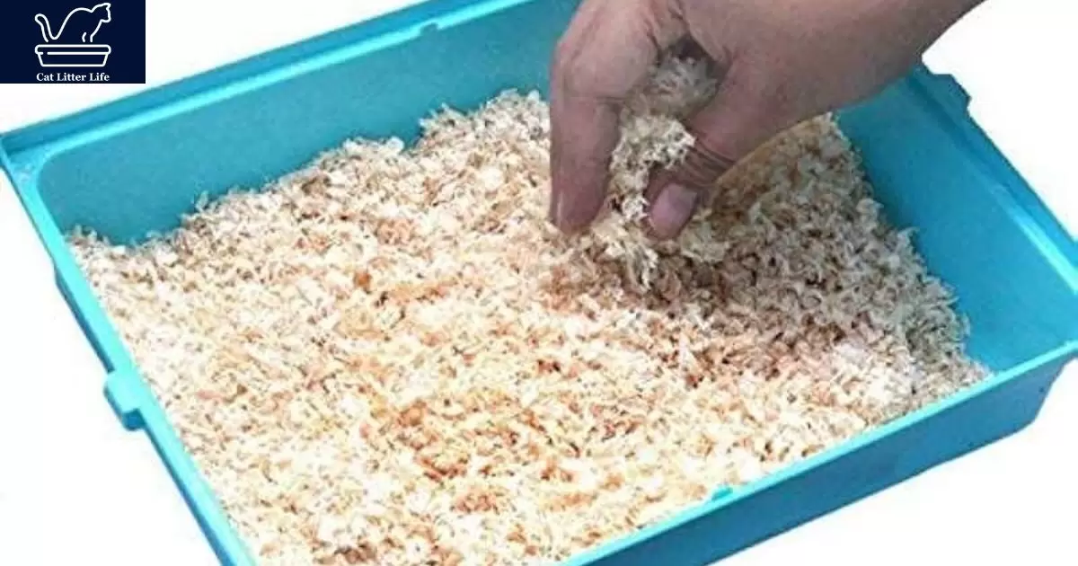 What Wood Shavings Are Safe For Cat Litter?