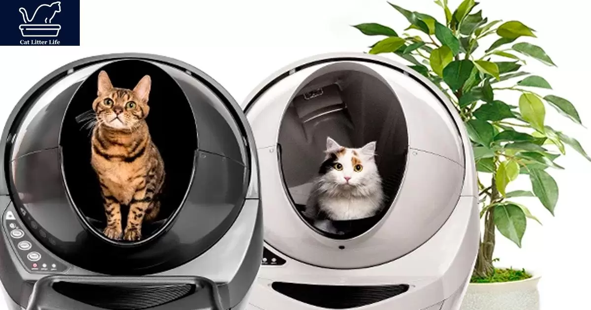 How To Get Your Cat To Use Litter Robot?